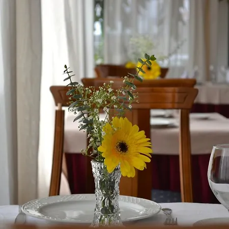 Hospedium Veracruz מלון